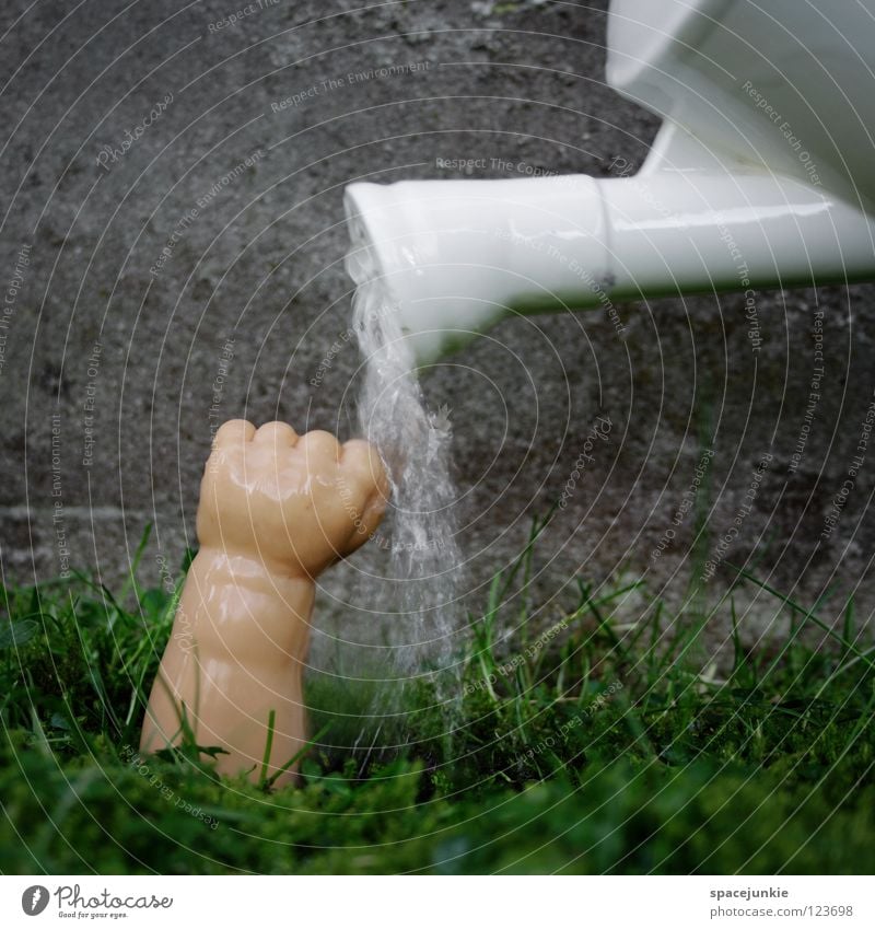 Water Gießkanne grün Wachstum Reifezeit Hand Faust Spielzeug skurril Humor Freude Wasser water Rasen Ernte Arme Puppenarm Statue