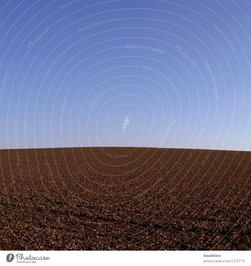 Himmel und Erde braun Feld Landwirtschaft Aussaat Hügel ruhig Sand blau Amerika Reihe Linie