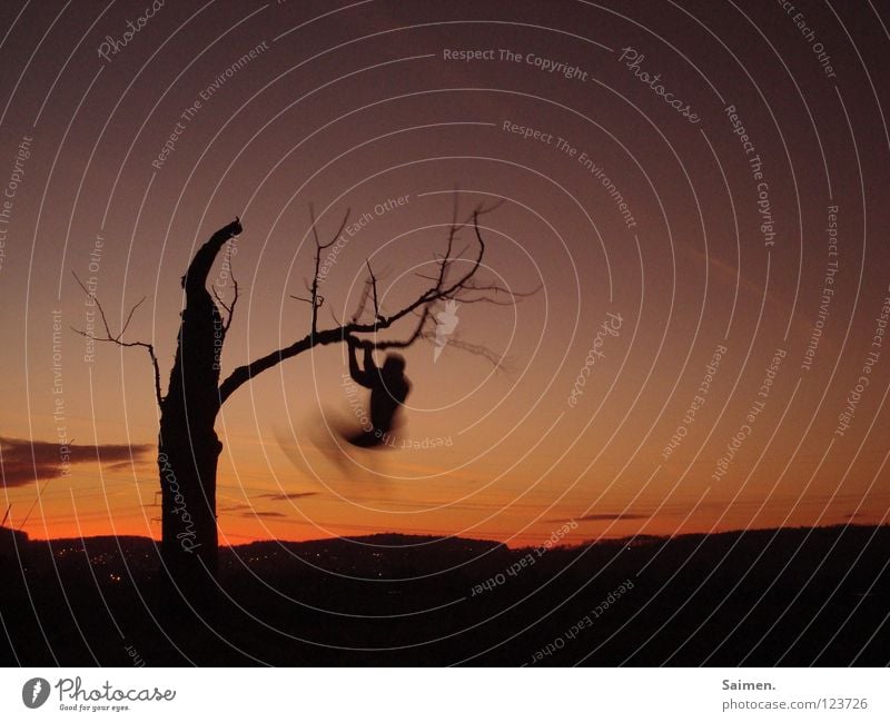 move your body mehrfarbig schön zart Baum eigenwillig schwarz Wolken ruhig Feld anstrengen Auslöser Schwerkraft Außenaufnahme Gegenteil fremd Freude Himmel