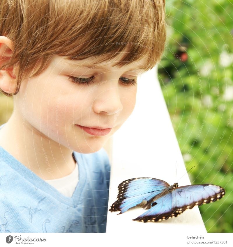 die wunder dieser welt! Kind Junge Familie & Verwandtschaft Kindheit Haut Haare & Frisuren Gesicht Auge Ohr Nase Mund Lippen 1 Mensch 3-8 Jahre Garten Park