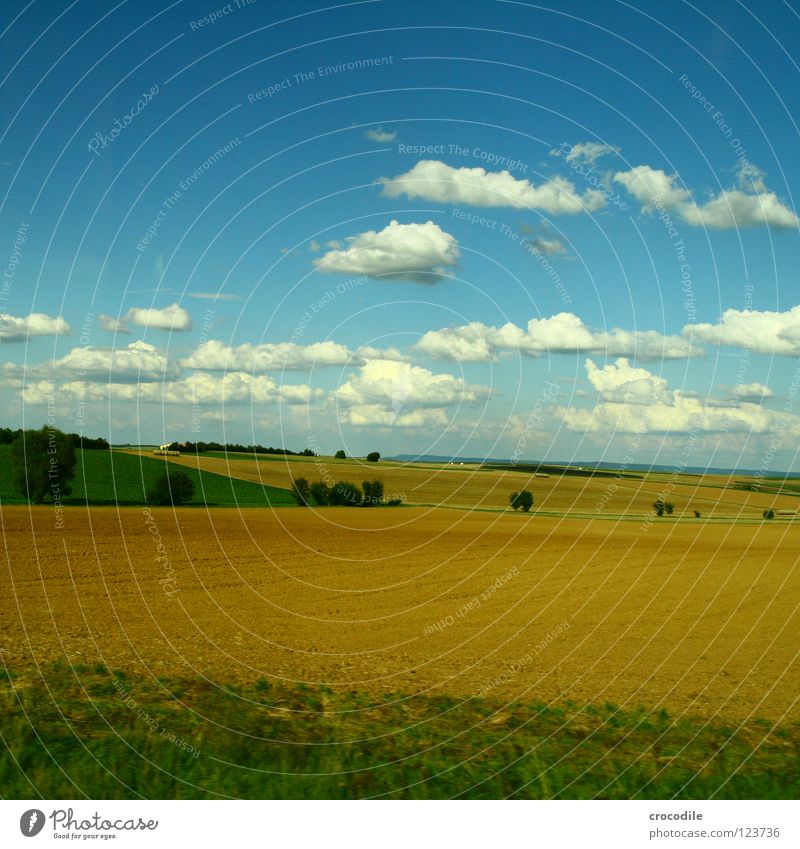 schäfchenwolken über der mitte deutschlands II Feld Landwirtschaft Wiese Sommer Wolken Baum Sträucher Kulturlandschaft Produktion Blauer Himmel Ackerbau