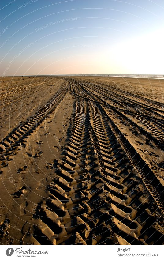 spurensuche Strand Küste Meer See Möwe Müll Silhouette Reifenspuren gelb braun ruhig Erholung atmen Ameland Niederlande Nordsee Sand Spuren Profil strandexpress