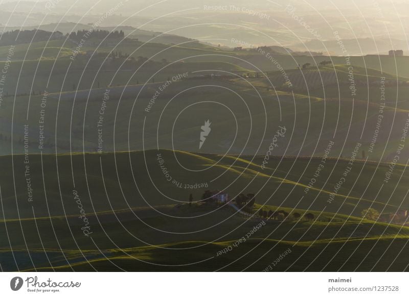 Ein Landgut in der Toskana bei Sonnenaufgang Ferien & Urlaub & Reisen Ferne Haus Landschaft Schönes Wetter Baum Wiese Feld Hügel Dorf Menschenleer ästhetisch