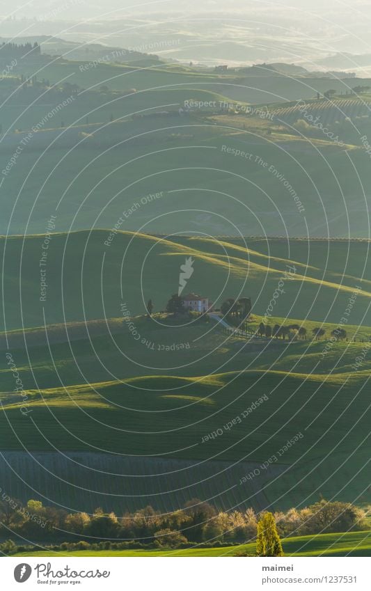 Ein Weingut in der Toskana bei Sonnenaufgang ruhig Ferien & Urlaub & Reisen Haus Landschaft Sonnenuntergang Frühling Baum Wiese Feld Hügel Dorf ästhetisch