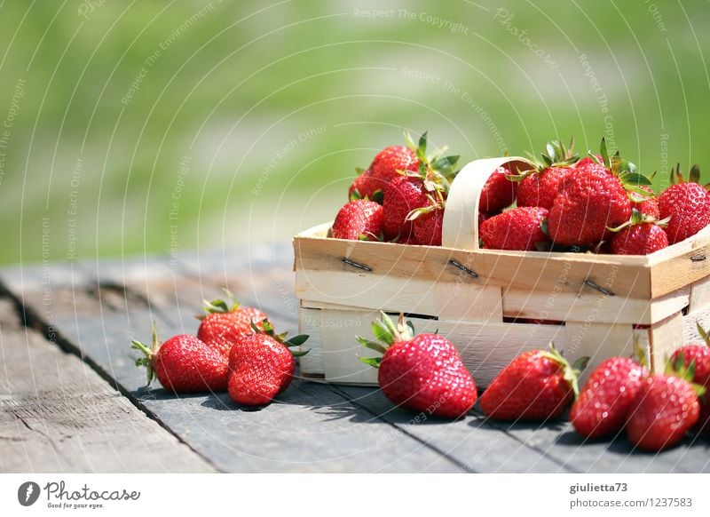 ...perfekt für die Sommerfigur Lebensmittel Frucht Erdbeeren Ernährung Bioprodukte Vegetarische Ernährung Garten Natur Schönes Wetter frisch Gesundheit lecker