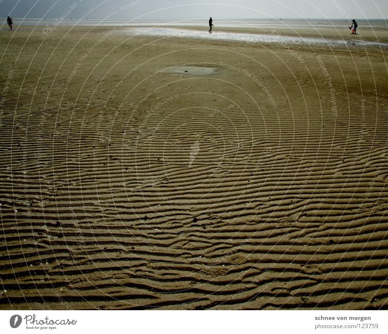 wattzeichen Wellen Strand Ebbe Meer ruhig Sand Wattenmeer Wasser mare sea Mensch Ferne Himmel