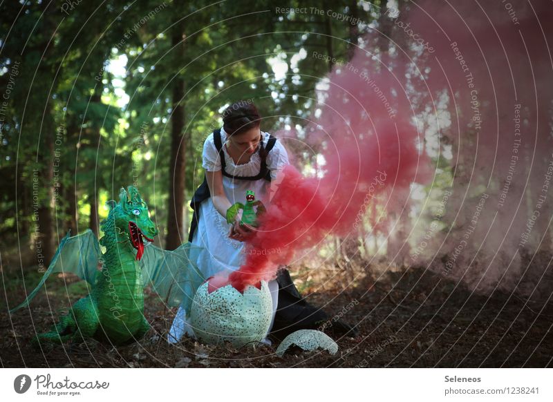 Geburtshilfe Mensch feminin Frau Erwachsene 1 Umwelt Natur Landschaft Wald Wildtier Drache Fantasygeschichte Märchen Rauch Farbfoto Außenaufnahme Tag