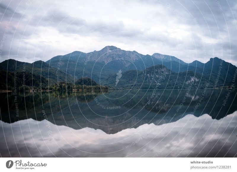 Spieglein Spieglein Umwelt Natur Landschaft Pflanze Himmel schlechtes Wetter Alpen Berge u. Gebirge Seeufer ruhig Reflexion & Spiegelung Spiegelbild Idylle