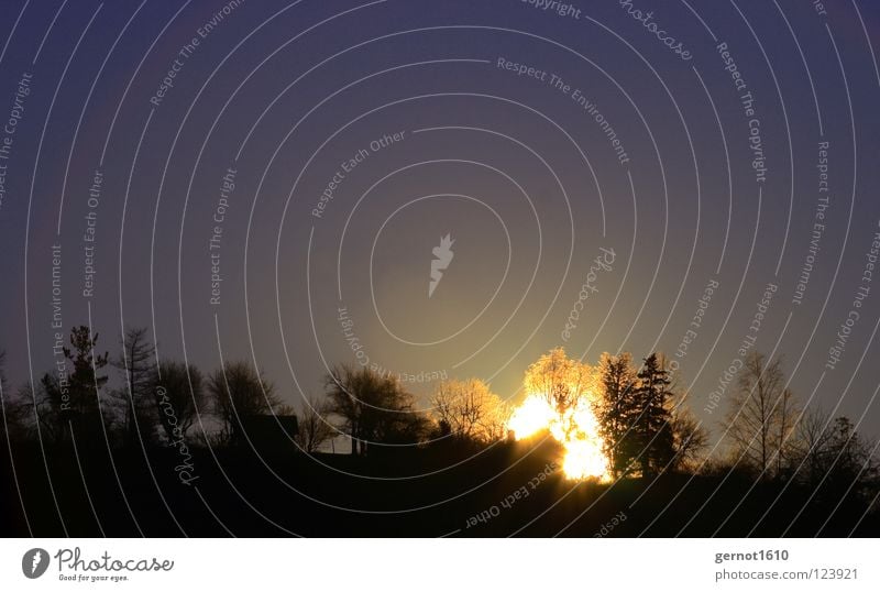 Sonnenfeuer II Sonnenaufgang Baum glühen Glut Silhouette schwarz Horizont dunkel Licht Stimmung gähnen Winter Himmelskörper & Weltall Brand Beleuchtung blau