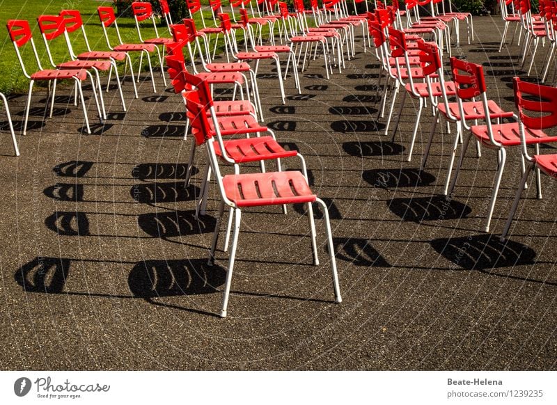 Angebot und Nachfrage Gras Park entdecken Erholung sitzen warten braun grün rot Stimmung Gastfreundschaft Enttäuschung Stuhl Sitzreihe Sitzgelegenheit