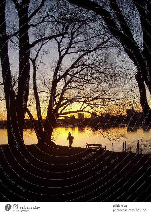 7:15 Uhr Sonnenaufgang Außenalster Alster Jogger Farbverlauf Baum laublos Parkbank Morgen Dämmerung Aussicht Hochhaus Joggen Stadt Alsterlauf Hamburg Farbe