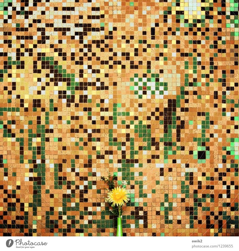 Kunstblume Stil Design Kunstwerk Mosaik Mosaiksteinchen Teile u. Stücke durcheinander viele Blume Blüte Kunststoff Blühend retro verrückt mehrfarbig gelb gold