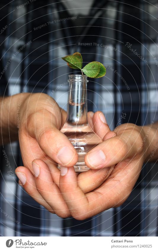 Glück Hand Natur Pflanze Wasser Blatt Klee Kleeblatt festhalten Wachstum ästhetisch Flüssigkeit natürlich Originalität positiv blau grün Vertrauen Sicherheit