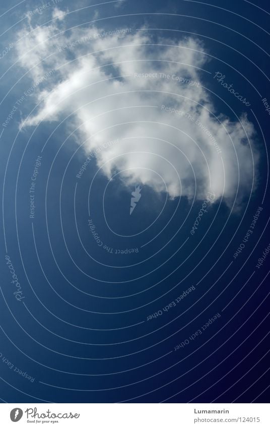 Reisebekanntschaft himmlisch Luft luftig Strukturen & Formen Wolken Geister u. Gespenster Phantom Sinnestäuschung flüchtig Vergänglichkeit Watte weich unterwegs