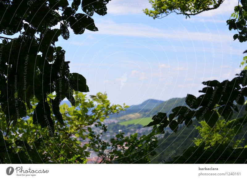 !trash! 2016! | Albblick wandern Natur Landschaft Erde Himmel Sonnenlicht Klima Baum Wald Hügel Berge u. Gebirge Dorf Kleinstadt grün Erholung Freiheit