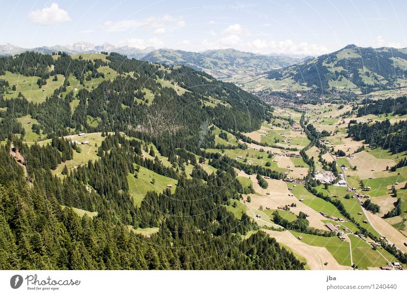 Wispile - Staldenhorn - Grund XIV Wohlgefühl Zufriedenheit Erholung ruhig Ausflug Freiheit Sommer Berge u. Gebirge Sport Gleitschirmfliegen Sportstätten Natur