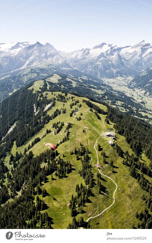 Wispile - Staldenhorn - Grund V Wohlgefühl Zufriedenheit Erholung ruhig Ausflug Freiheit Sommer Berge u. Gebirge Sport Gleitschirmfliegen Sportstätten Natur