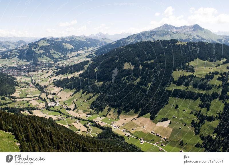 Wispile - Staldenhorn - Grund XI Wohlgefühl Zufriedenheit Erholung ruhig Ausflug Freiheit Sommer Berge u. Gebirge Sport Gleitschirmfliegen Sportstätten Natur