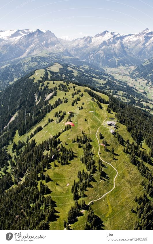 Wispile - Staldenhorn - Grund IV Wohlgefühl Zufriedenheit Erholung ruhig Ausflug Freiheit Sommer Berge u. Gebirge Sport Gleitschirmfliegen Sportstätten Natur