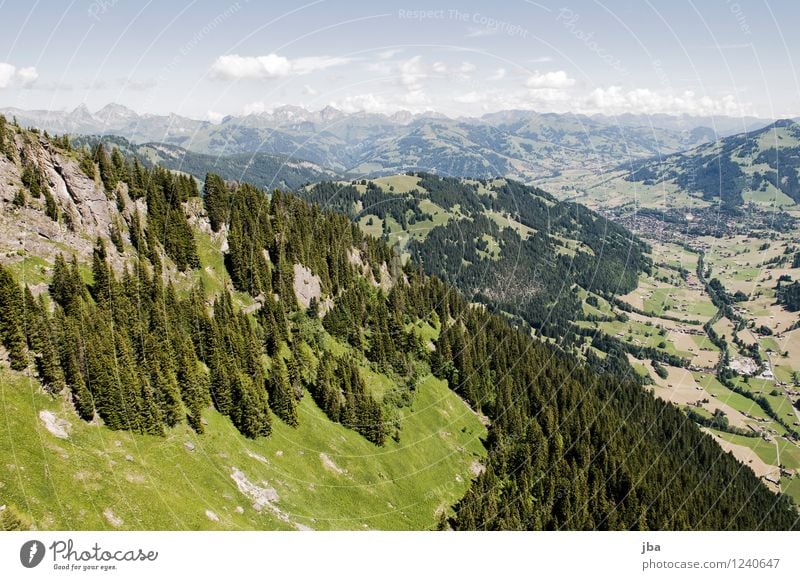 Wispile - Staldenhorn - Grund XII Wohlgefühl Zufriedenheit Erholung ruhig Ausflug Freiheit Sommer Berge u. Gebirge Sport Gleitschirmfliegen Sportstätten Natur