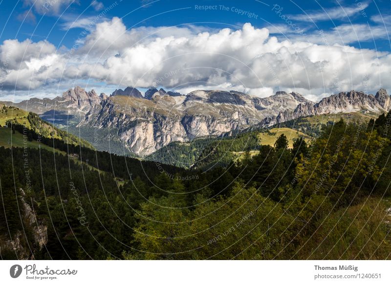 Dolomiten Sommer Berge u. Gebirge wandern Natur Landschaft Himmel Wolken Schönes Wetter Blume Wald Alpen gigantisch Unendlichkeit ruhig Fernweh