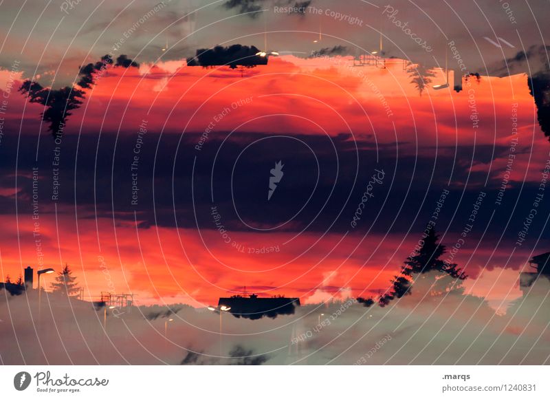 Abendrot Stil Umwelt Natur Landschaft Urelemente Himmel Wolken Klima Baum Haus außergewöhnlich dunkel schön orange Stimmung Farbe Surrealismus Symmetrie