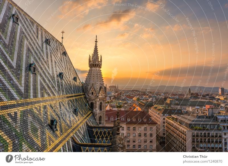 Wiener Stephansdom Ferien & Urlaub & Reisen Himmel Wolken Horizont Sonne Sonnenaufgang Sonnenuntergang Sommer Schönes Wetter Stadt Hauptstadt Stadtzentrum