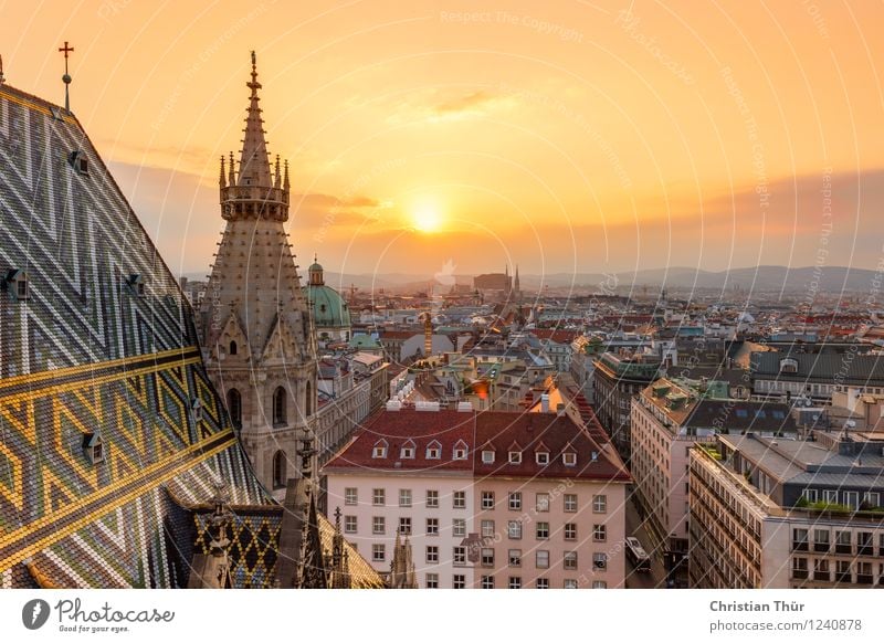 Stephansdom Wien Ferien & Urlaub & Reisen Tourismus Ausflug Ferne Freiheit Sightseeing Städtereise Umwelt Himmel Wolken Sonnenaufgang Sonnenuntergang Sommer