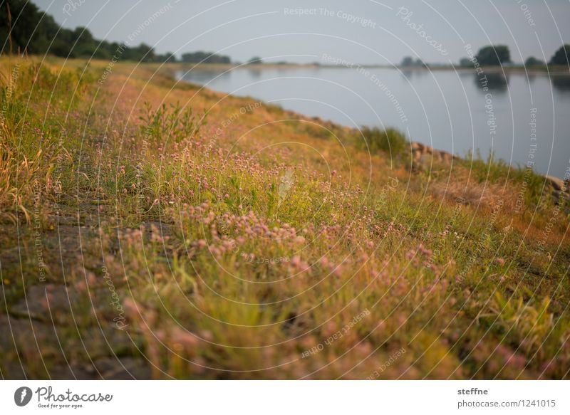 Around the World: Elbe Around the world Ferien & Urlaub & Reisen Reisefotografie Tourismus Landschaft Stadt Skyline steffne