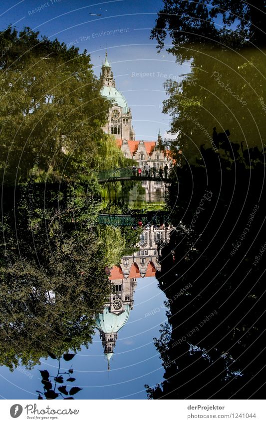 Immer Sommer steht alles auf dem Kopf Ferien & Urlaub & Reisen Tourismus Ausflug Umwelt Natur Landschaft Schönes Wetter Seeufer Rathaus Gebäude Architektur