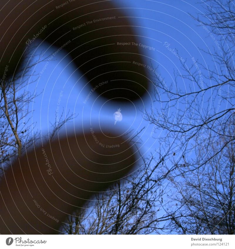 Fingermondlandung Wurstfinger Mondlandung Vollmond Halbmond Hälfte rund schwarz Daumen Zeigefinger Hand Himmel Wald Nachmittag Nagel Fingernagel Sträucher Baum