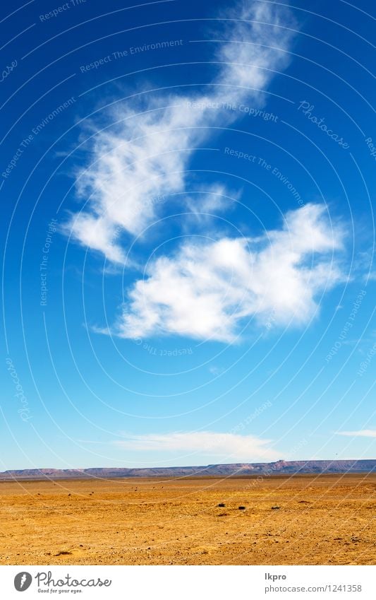 Marokko Sahara und Rock Stein Himmel Design Ferien & Urlaub & Reisen Sommer Meer Berge u. Gebirge Wissenschaften Umwelt Natur Landschaft Pflanze Sand Hügel