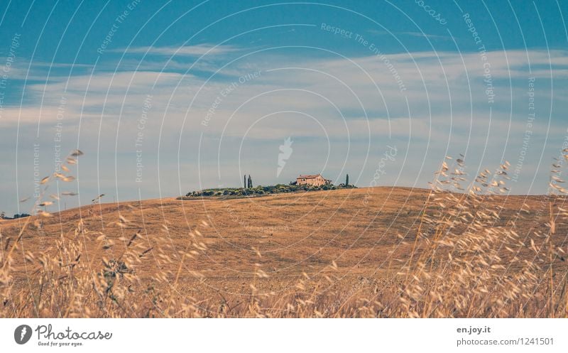 Oase Ferien & Urlaub & Reisen Sommer Sommerurlaub Umwelt Natur Landschaft Himmel Wolken Sonnenlicht Klima Klimawandel Schönes Wetter Feld Hügel Toskana Italien