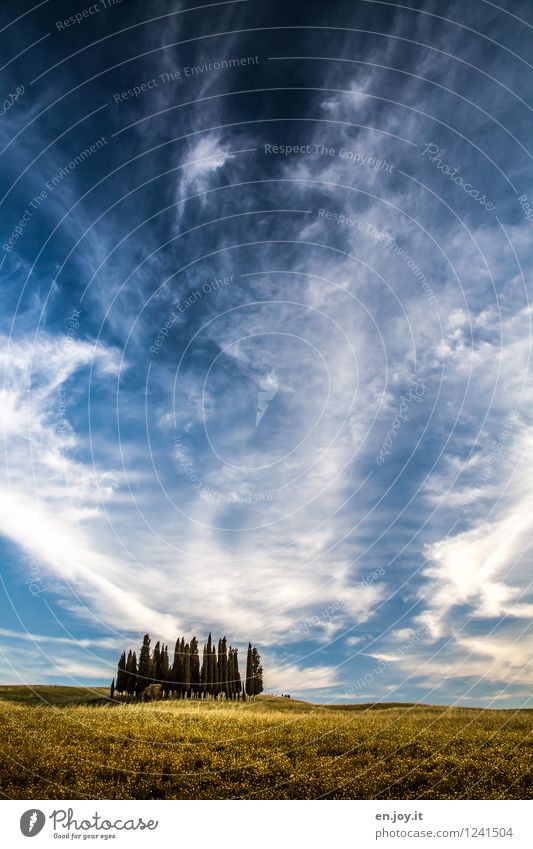 es war einmal.. Ferien & Urlaub & Reisen Tourismus Ausflug Sommer Sommerurlaub Umwelt Natur Landschaft Pflanze Himmel Wolken Horizont Sonnenlicht Klima