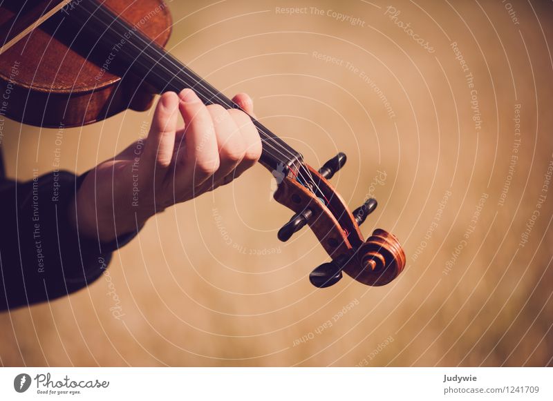 Fingerübung Freizeit & Hobby Spielen Sommer Musik Mensch maskulin Hand Konzert Open Air Musiker Geige Natur Herbst Schönes Wetter Wiese Feld braun Leidenschaft