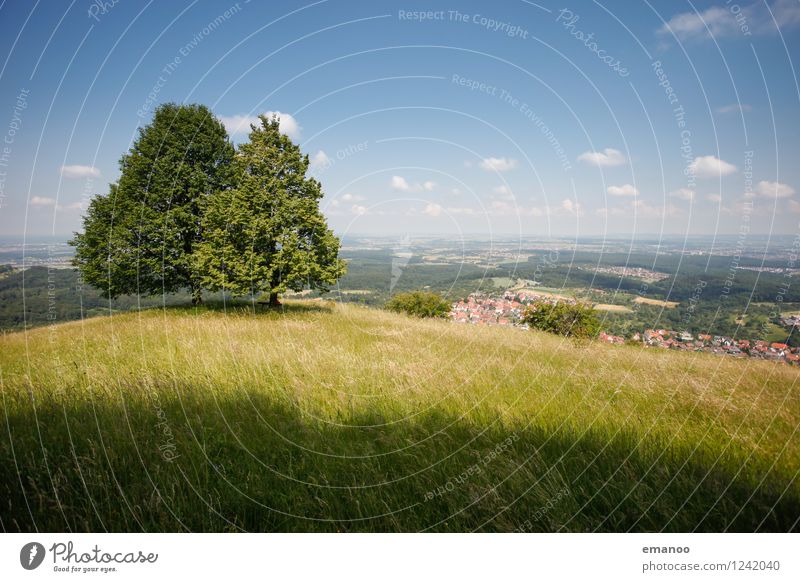 Alb Wohlgefühl Erholung ruhig Ferien & Urlaub & Reisen Tourismus Ausflug Ferne Freiheit Sommer Berge u. Gebirge wandern Natur Landschaft Pflanze Himmel Wetter