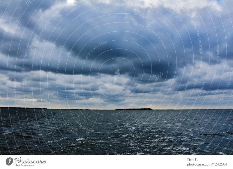 die Insel Umwelt Natur Wasser Himmel Wolken Gewitterwolken Sommer Küste Ostsee Meer Abenteuer Farbfoto Außenaufnahme Tag