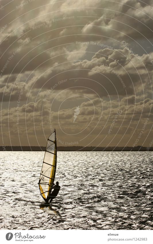 summer Windsurfing Sommerurlaub Meer Wellen Wassersport Surfbrett Urelemente Wolken Horizont Schönes Wetter Pfeil fliegen Freiheit Geschwindigkeitsrausch