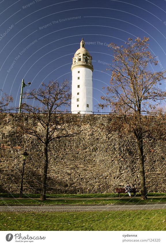 Blaupause Main Frankfurt am Main Ereignisse Ferien & Urlaub & Reisen entdecken Erholung genießen Aktion Licht schön Promenade Spaziergang gehen Mauer Baum Wiese