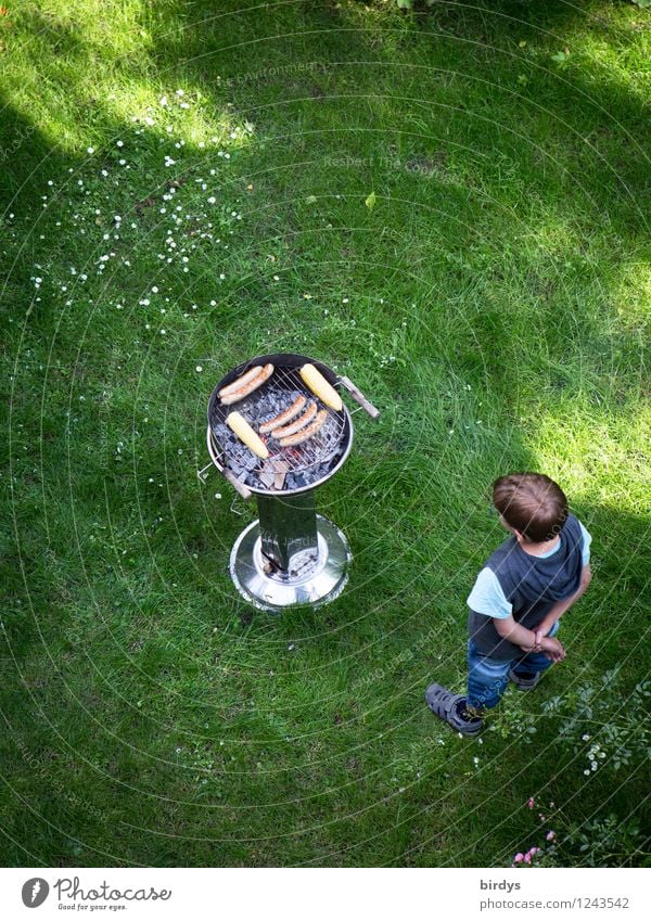 Ein Junge steht erwartungsvoll im Garten vor einem Grill mit Würstchen. Vogelperspektive Fleisch Wurstwaren Ernährung Grillen Kind 1 Mensch 3-8 Jahre Kindheit