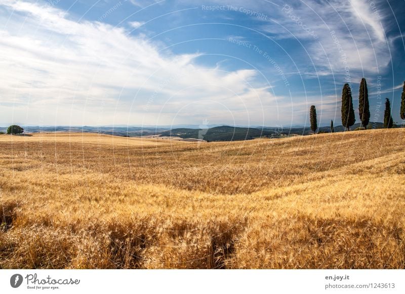 Wohlstand Reichtum Gesundheitswesen Gesunde Ernährung Ferien & Urlaub & Reisen Sommer Sommerurlaub Landwirtschaft Forstwirtschaft Umwelt Natur Landschaft Himmel