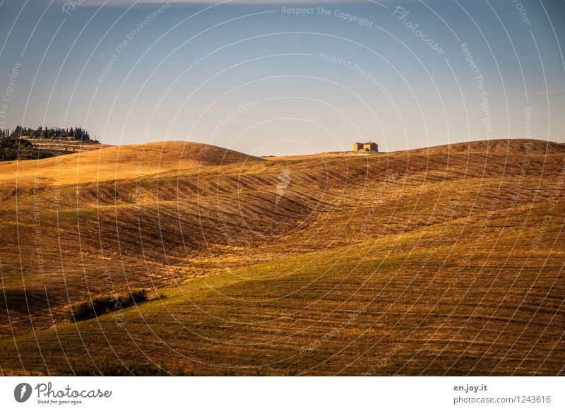 allein Ferien & Urlaub & Reisen Sommer Sommerurlaub Landwirtschaft Forstwirtschaft Landschaft Himmel Sonnenlicht Klima Klimawandel Feld Hügel Kornfeld