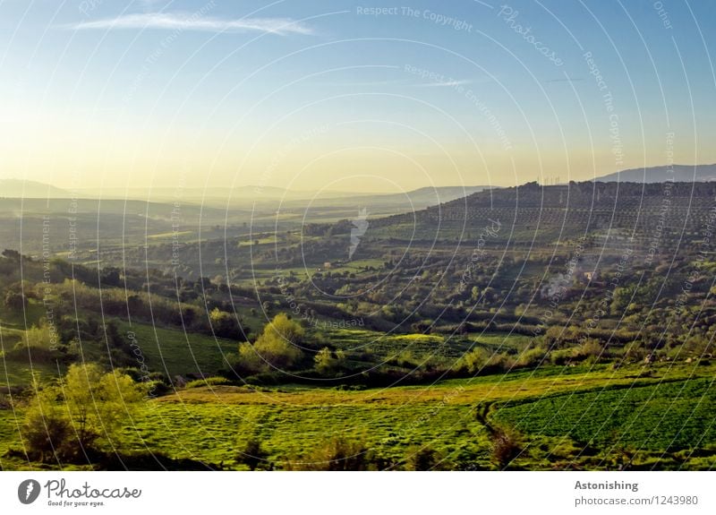 grünes Marokko Umwelt Natur Landschaft Pflanze Luft Himmel Wolken Horizont Sonnenaufgang Sonnenuntergang Sommer Wetter Schönes Wetter Baum Gras Sträucher Wiese