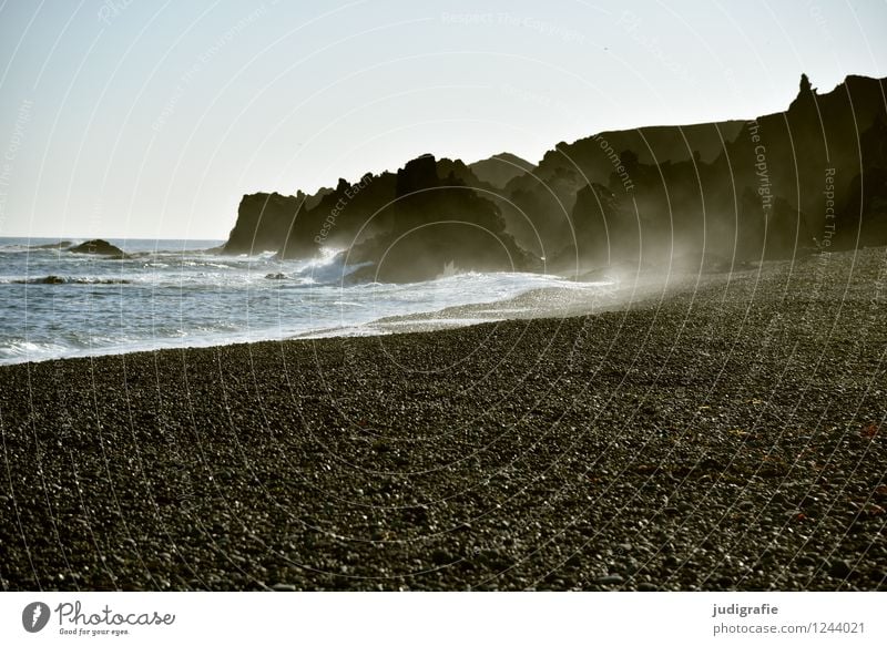 Island Umwelt Natur Landschaft Wasser Wolkenloser Himmel Klima Felsen Küste Strand Bucht Snæfellsnes dunkel kalt natürlich wild Stimmung Farbfoto