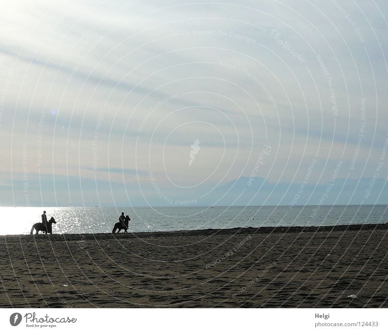 Ausritt am Strand II träumen Pferd Schwanz Hand Pferdegangart Küste Meer See Meerwasser Wolken Sonne Gegenlicht Ferien & Urlaub & Reisen Erholung