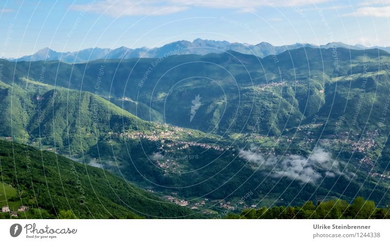 Villeggiatura 2 Ferien & Urlaub & Reisen Ausflug Sommerurlaub Berge u. Gebirge Landschaft Pflanze Frühling Schönes Wetter Wald Alpen Gipfel Valsecca Italien