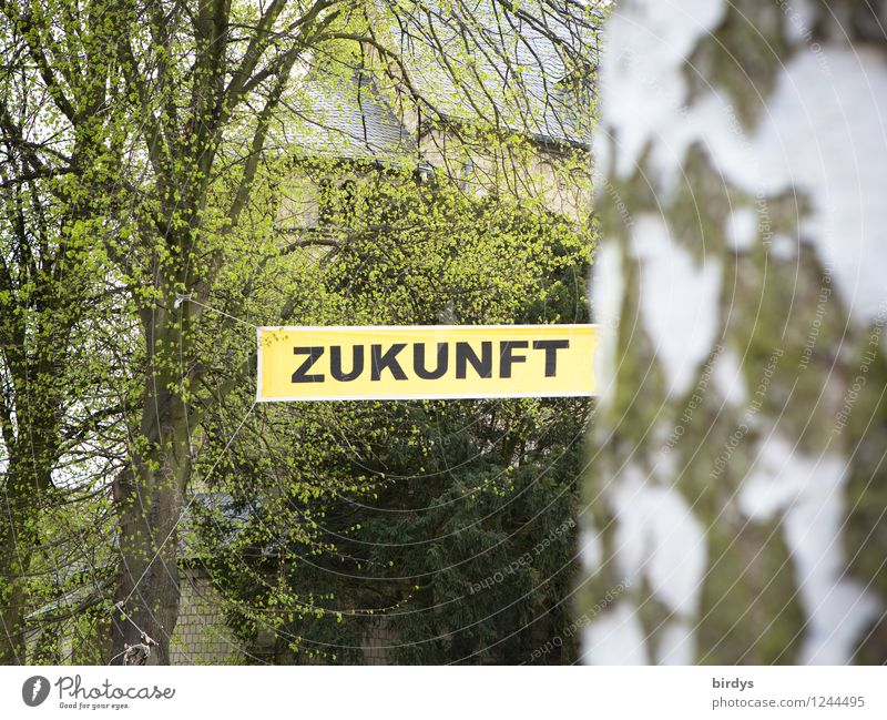 Zukunft,Aufschrift auf einem Banner. Zukunftsthema, Entwicklung Sorge Frühling Klimawandel Erderwärmung Braunkohlentagebau Zukunftsangst Baum Birke