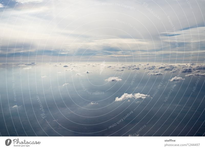 Zwischenräume (III/III) Landschaft Himmel Wolken fliegen Flugzeugausblick Wetter Wolkenfeld Farbfoto Außenaufnahme Luftaufnahme Menschenleer Textfreiraum oben