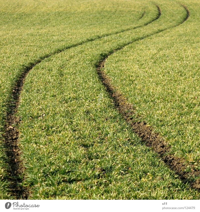 Alles Betrunken Oder Was ??? Feld grün Spuren quer Traktorspur Alkoholisiert krumm Wellen wellig Gras Wiese Wege & Pfade verrückt Kurve uneben Außenaufnahme