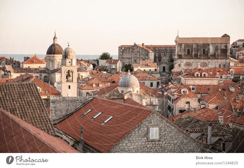 Old Town - Dubrovnik Kleinstadt Stadt Stadtzentrum Haus Kirche Turm Bauwerk Gebäude Dach Sehenswürdigkeit Wahrzeichen Denkmal braun rot Alte Stadt historisch